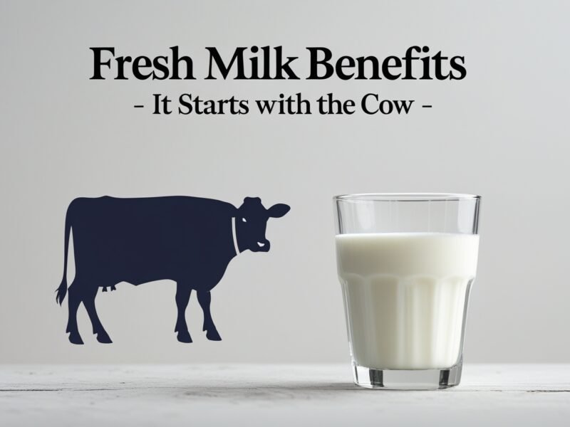 Fresh Milk Benefits | It Starts with the Cow